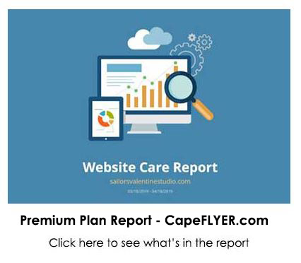 click here to see a website care report example