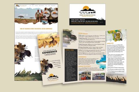 Tanzania Safari Company marketing materials collage