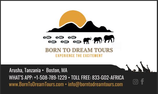 business card designed and printed for safari company in tanzania
